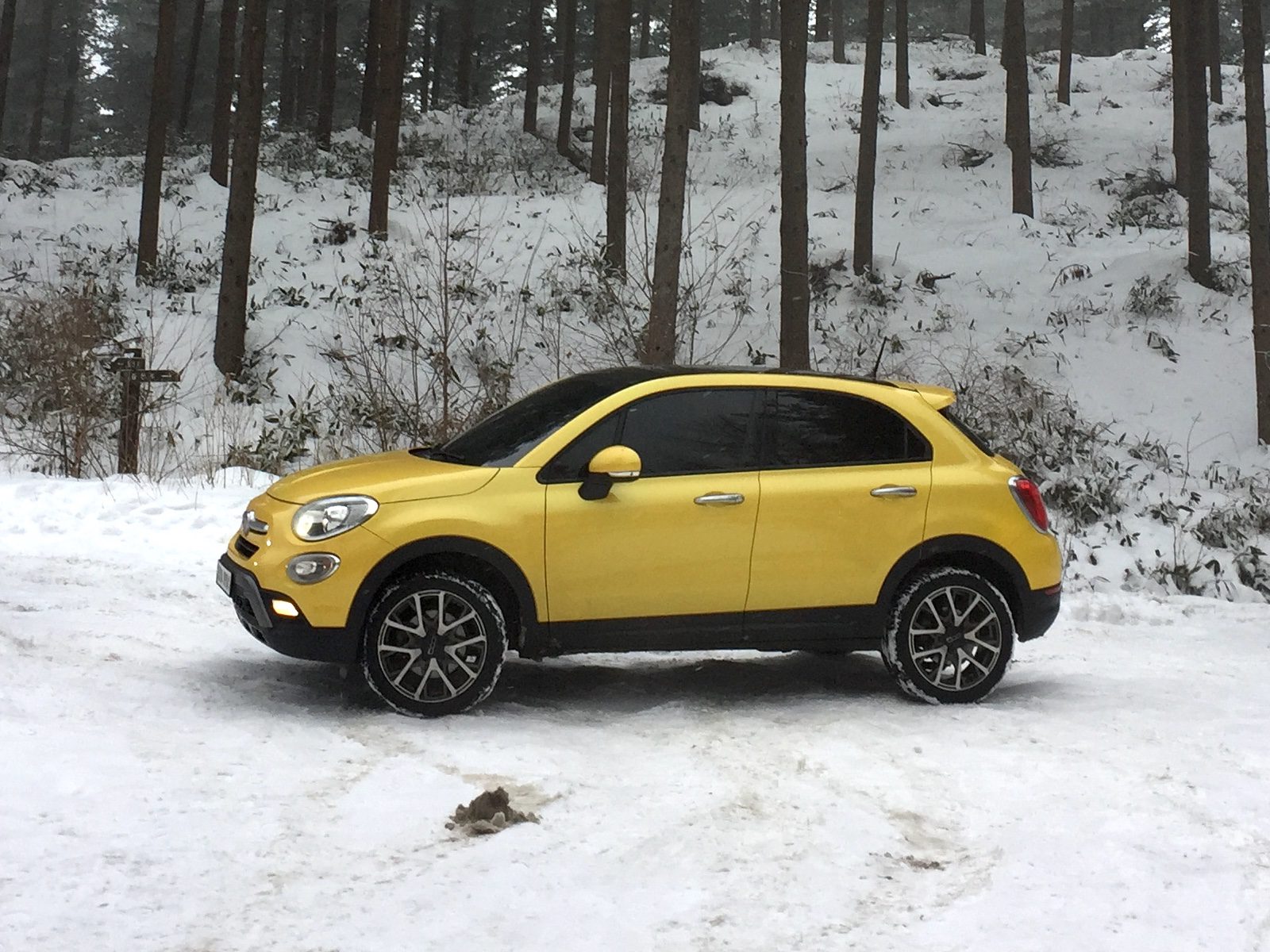 Cross-Country skin – 피아트 500X 크로스 플러스