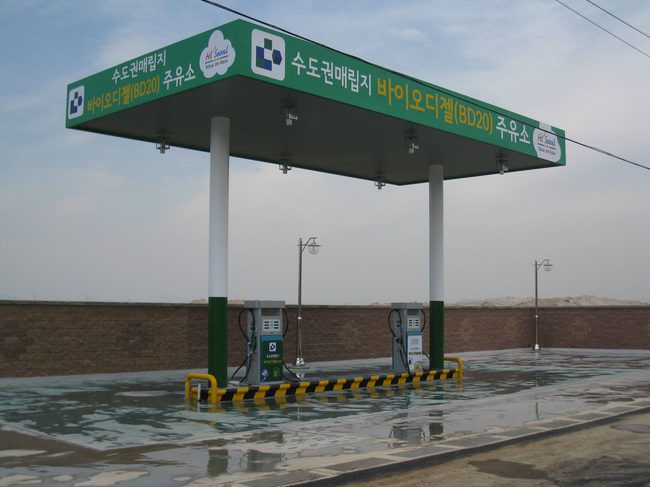 고구마로 달리는 자동차