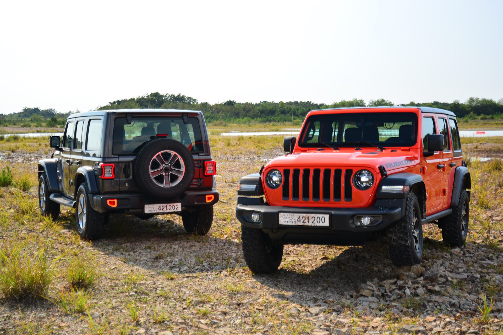 지프 랭글러 4도어 루비콘 & 사하라