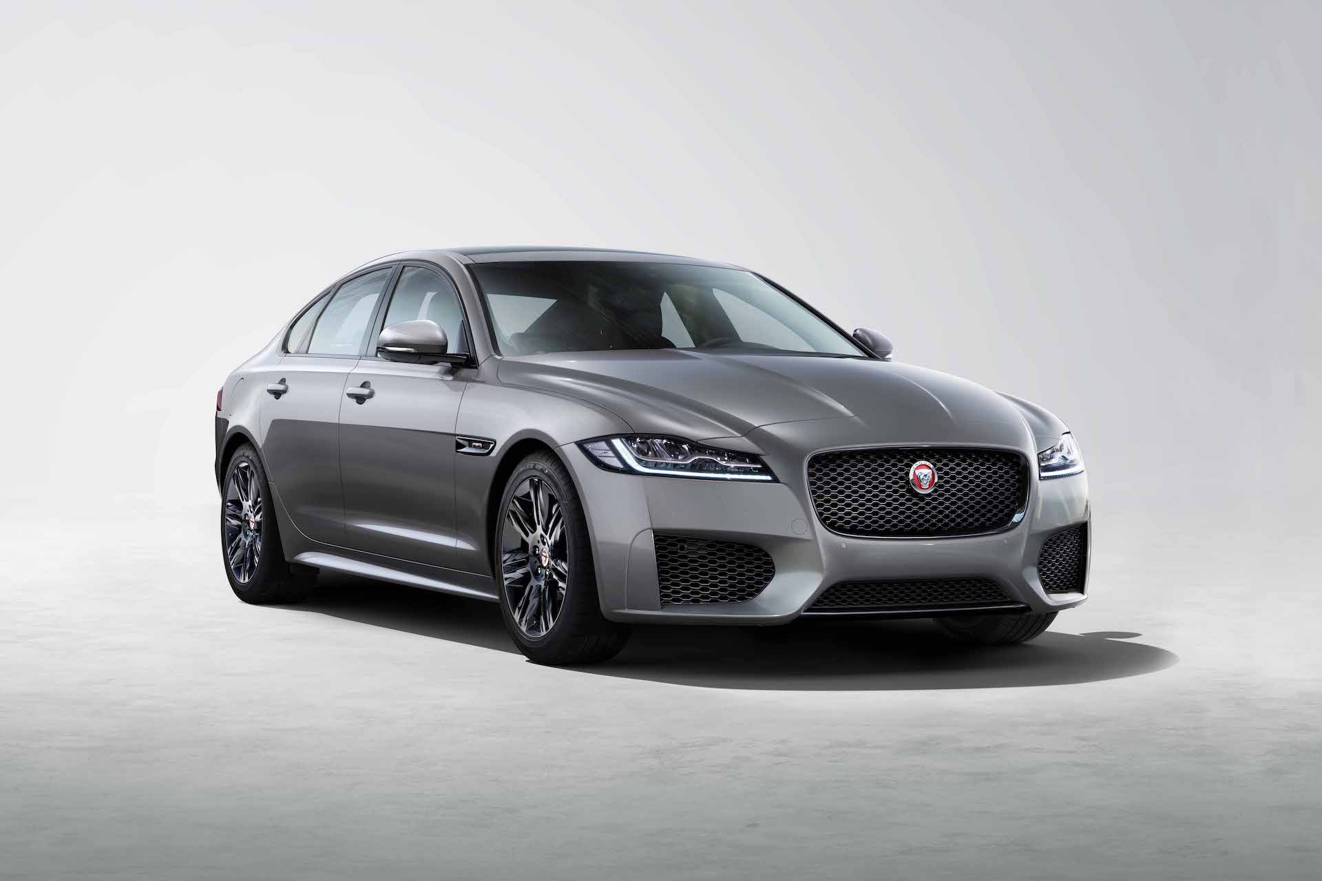 2020 재규어 XF & XF 체커드 플래그 에디션