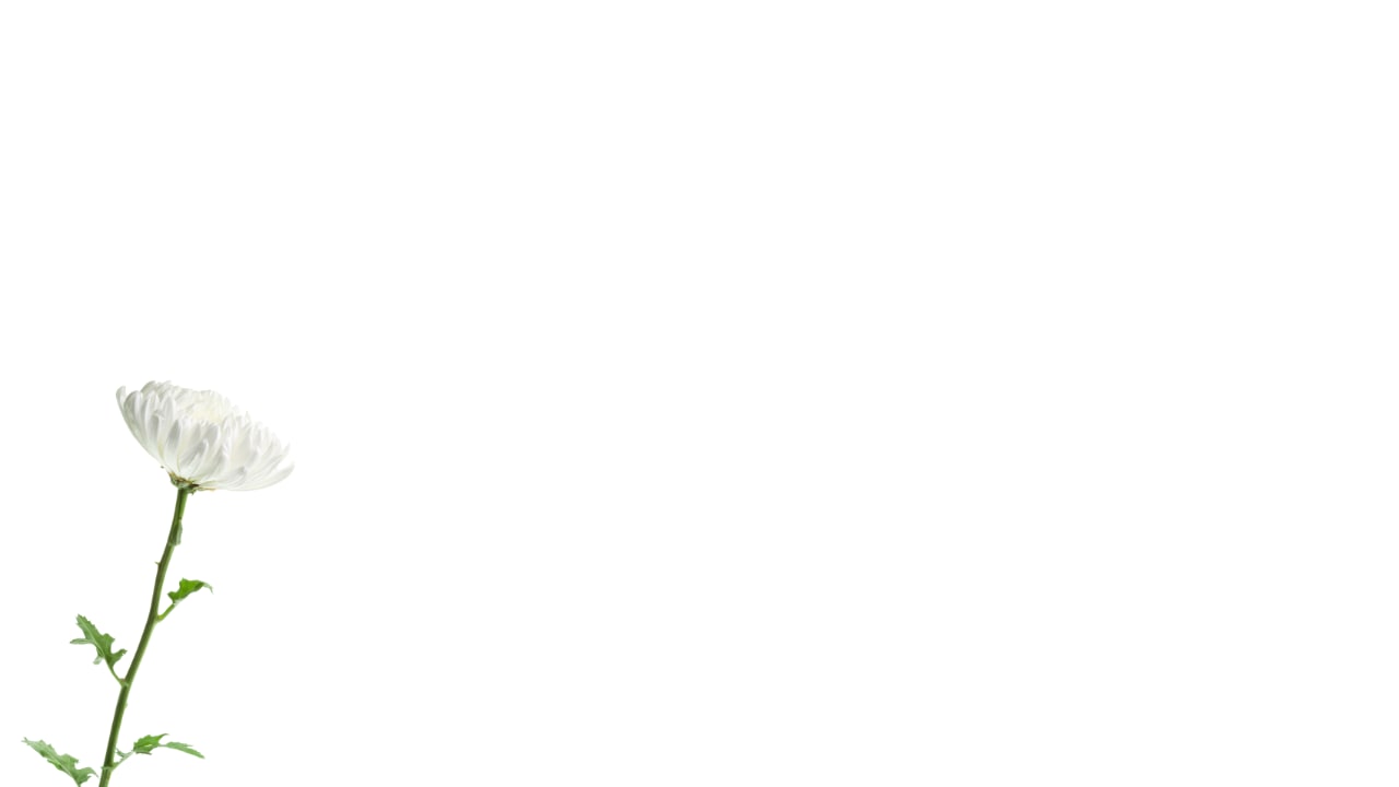 제주항공 여객기 사고로 세상을 떠나신 분들을 애도하며 희생자 유가족 여러분께 깊은 위로의 마음을 전합니다.