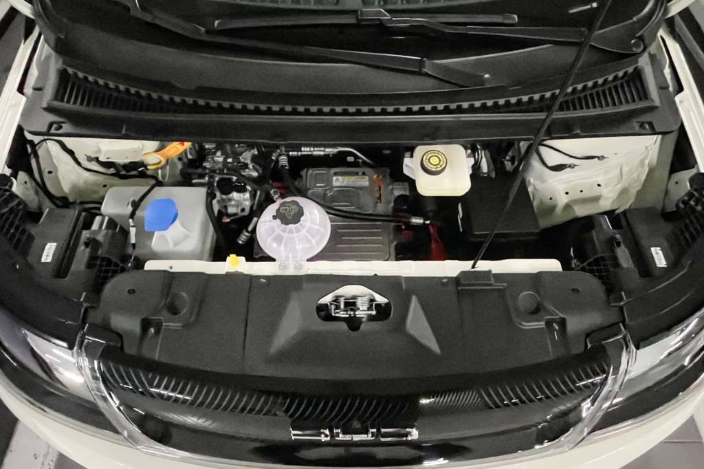 2026 BYD Dolphin / 2026 BYD 돌핀